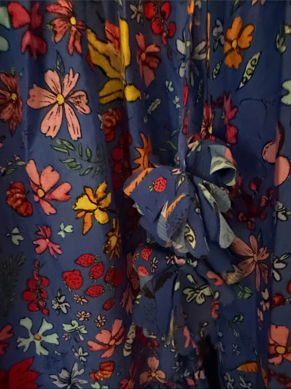 NWOT J.Crew x Dauphinette coverup 🍓🥕